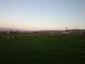 Satılır 100 sot torpaq Sulutəpə