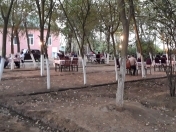 Satılır 8 otaqlı 120 m2 obyekt Binəqədi r.