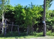 Satılır 12 sot torpaq Qax