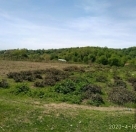 Satılır 21 sot torpaq Zaqatala