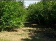 Satılır 3.5 sot torpaq Oğuz