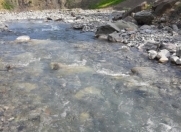 Satılır 28 sot torpaq İsmayıllı