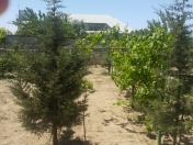 İcarəyə verilir 4 otaqlı 120 m2 bağ evi Fatmayı