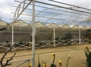 Satılır 7 otaqlı 1500 m2 obyekt Türkan