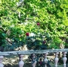 Satılır 5 otaqlı 500 m2 həyət evi Mehdiabad