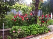 Satılır 10 otaqlı 330 m2 villa Astara