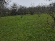 Satılır 18 sot torpaq Zaqatala