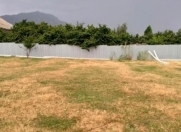 Satılır 12 sot torpaq İsmayıllı