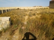 Satılır 10 sot torpaq Türkan