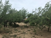 Satılır 18.5 sot torpaq Mərdəkan