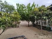 İcarəyə verilir 6 otaqlı 150 m2 bağ evi Fatmayı