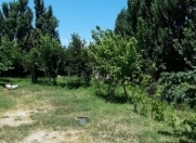 Satılır 10 sot torpaq Buzovna