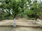 Satılır 8 sot torpaq Buzovna