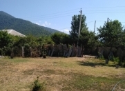 Satılır 5 sot torpaq Zaqatala