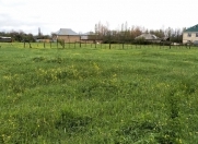 Satılır 30 sot torpaq Qəbələ