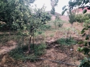 Satılır 6 sot torpaq Binə