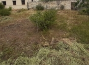 Satılır 4 sot torpaq Fatmayı