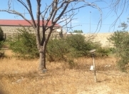 Satılır 20 sot torpaq Nardaran