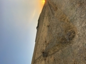 Satılır 8 sot torpaq Fatmayı