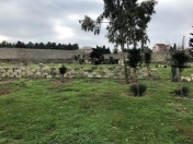 Satılır 24 sot torpaq Şüvəlan