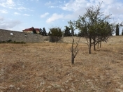 Satılır 33 sot torpaq Aqua Park