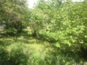 Satılır 10 sot torpaq Qəbələ