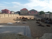 Satılır 10 sot torpaq İran