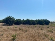 Satılır 400 sot torpaq Şüvəlan