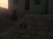 Satılır 4 otaqlı 100 m2 həyət evi Sumqayıt