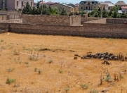 Satılır 12 sot torpaq Mərdəkan