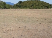 Satılır 25 sot torpaq Zaqatala