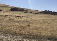 Satılır 6 sot torpaq Hökməli