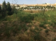 Satılır 18 sot torpaq Asan Xidmət-3