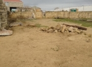 Satılır 4 sot torpaq Qala