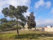 Satılır 36 sot torpaq Şüvəlan