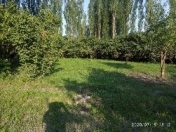 Satılır 33 sot torpaq Qusar