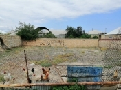 Satılır 4 sot torpaq Gəncə