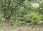 Satılır 50 sot torpaq İsmayıllı