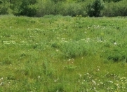 Satılır 5 sot torpaq Quba