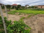 Satılır 7 sot torpaq Saray