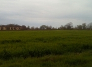 Satılır 500 sot torpaq Xaçmaz