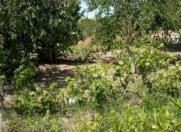 Satılır 10 sot torpaq Bilgəh