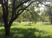 Satılır 12 sot torpaq Xaçmaz