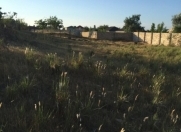 Satılır 4 sot torpaq Albalı