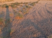 Satılır 18 sot torpaq Sumqayıt