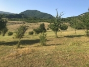 Satılır 200 sot torpaq Şamaxı