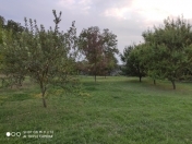 Satılır 12 sot torpaq İsmayıllı