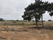 Satılır 12 sot torpaq Mərdəkan