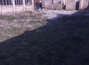 Satılır 6 sot torpaq Hövsan