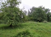 Satılır 100 sot torpaq Qəbələ